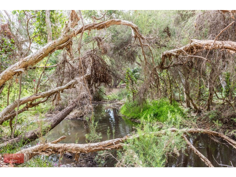 4 Cupania Court, Jane Brook WA 6056