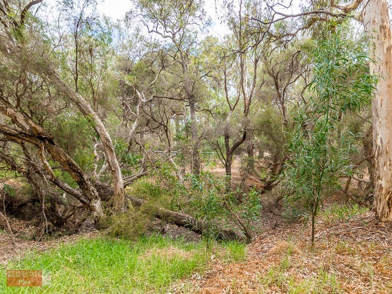 9 Silver Princess Way, Jane Brook WA 6056