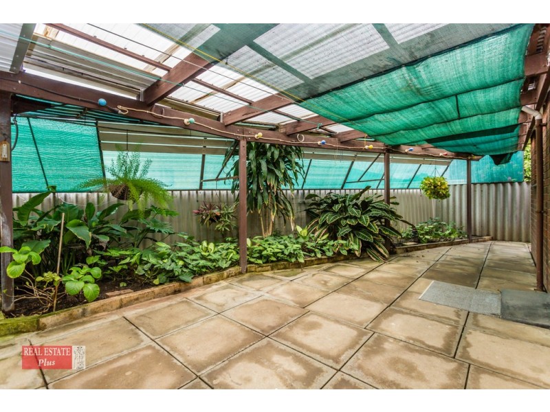 19 Redgum Avenue, Bellevue WA 6056