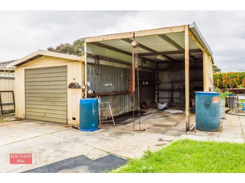 19 Redgum Avenue, Bellevue WA 6056