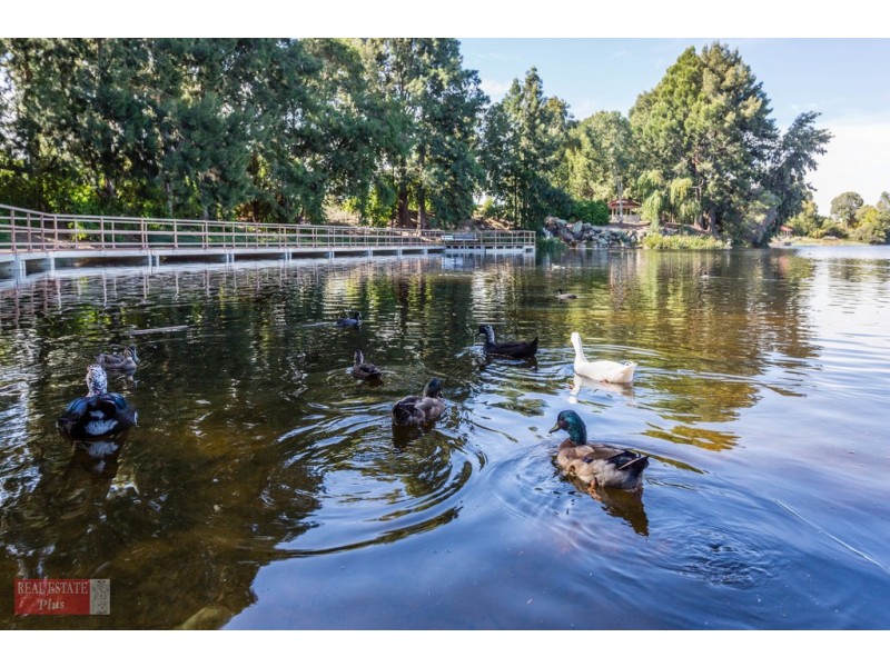 20 Parrotbush Crescent, Ellenbrook WA 6069