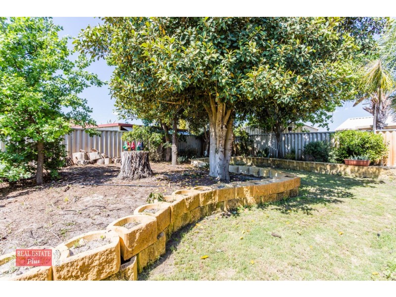 7 Knox Court, Ballajura WA 6066
