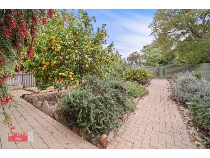 28 Ward Avenue, Greenmount WA 6056