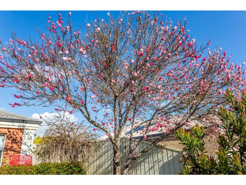 48 Huntsman Terrace, Jane Brook WA 6056