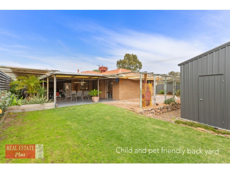 995 Katharine Street, Bellevue WA 6056