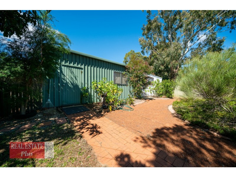 24 Ward Avenue, Greenmount WA 6056