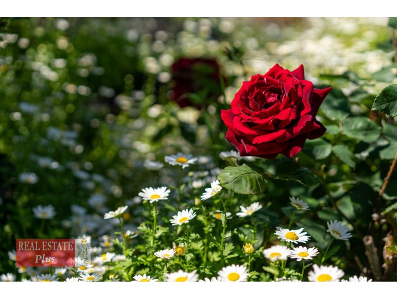 24 Ward Avenue, Greenmount WA 6056