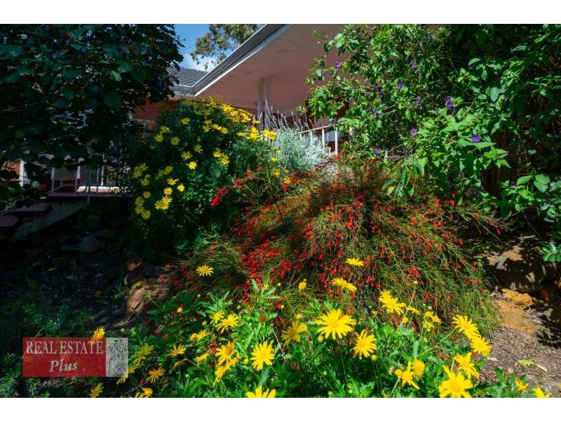 24 Ward Avenue, Greenmount WA 6056