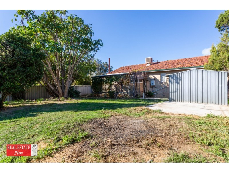 29 Clianthus Way, Koongamia WA 6056