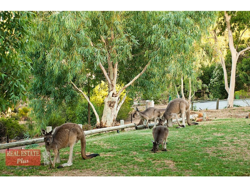 21 High View Road, Greenmount WA 6056