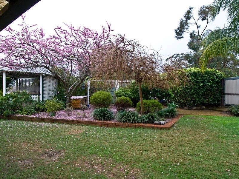 29 Pagnell Way, Swan View WA 6056