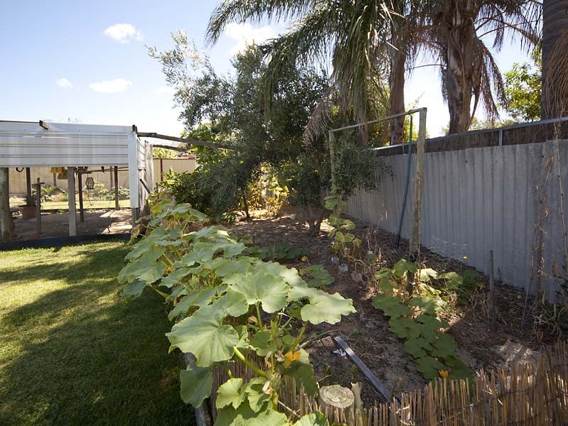18 Horner Way, Herne Hill WA 6056
