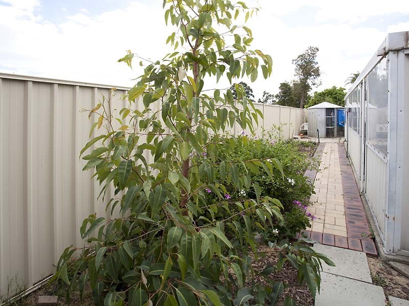 7 Rayleigh Street, Middle Swan WA 6056