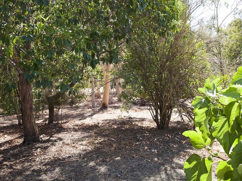 5560 Great Eastern Hwy, Mundaring WA 6073