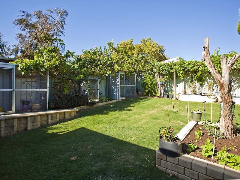 12 Welbourn Road, Swan View WA 6056