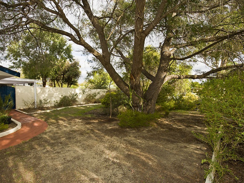19 Dorchester Road, Forrestfield WA 6058