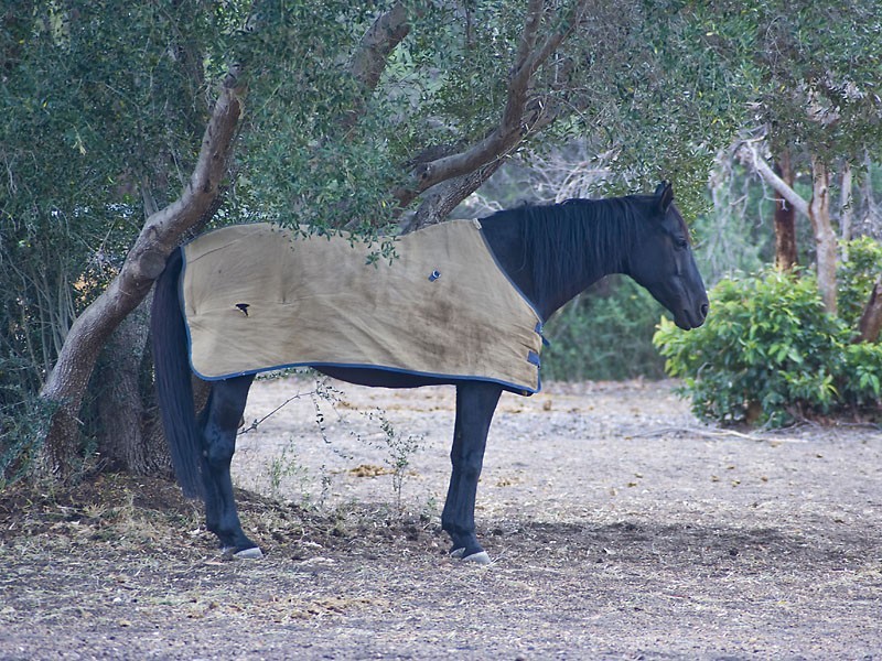 1000 Elliott Road, Mount Helena WA 6082