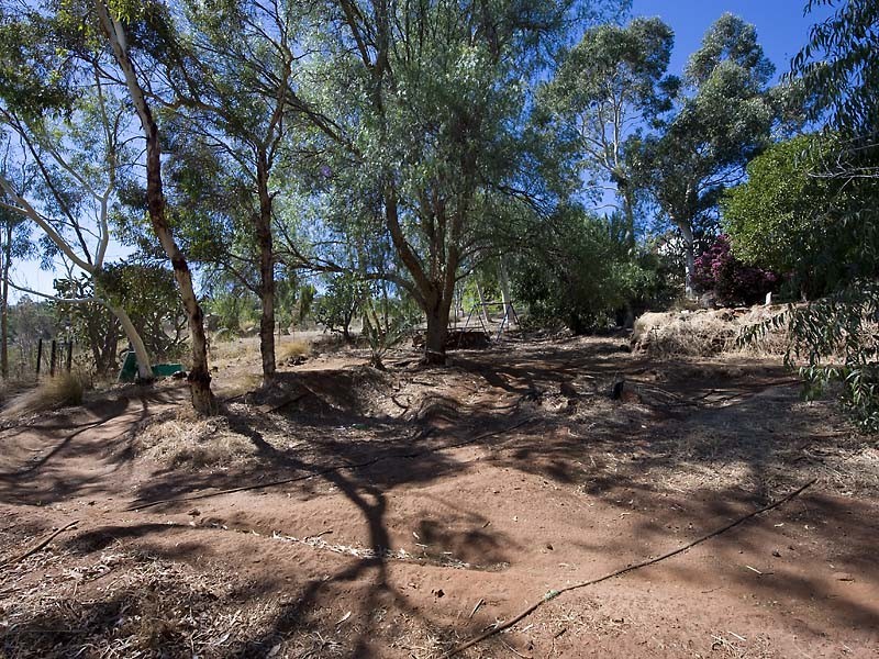 18 Grevillea Crescent, Swan View WA 6056