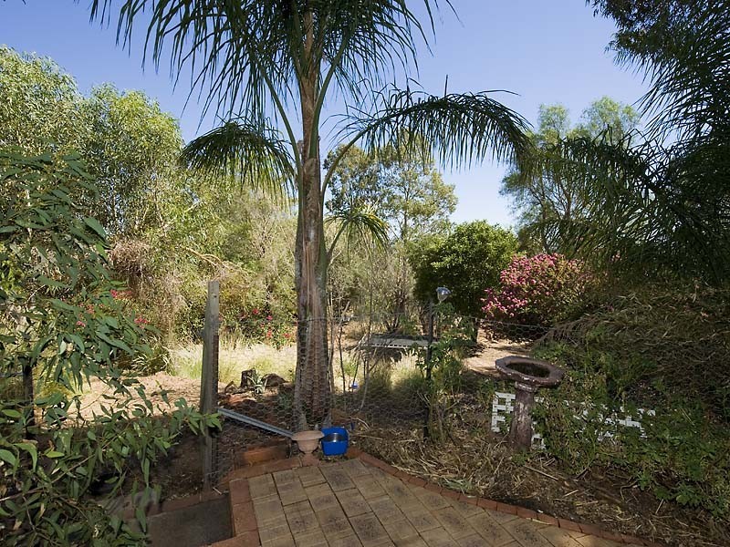 18 Grevillea Crescent, Swan View WA 6056