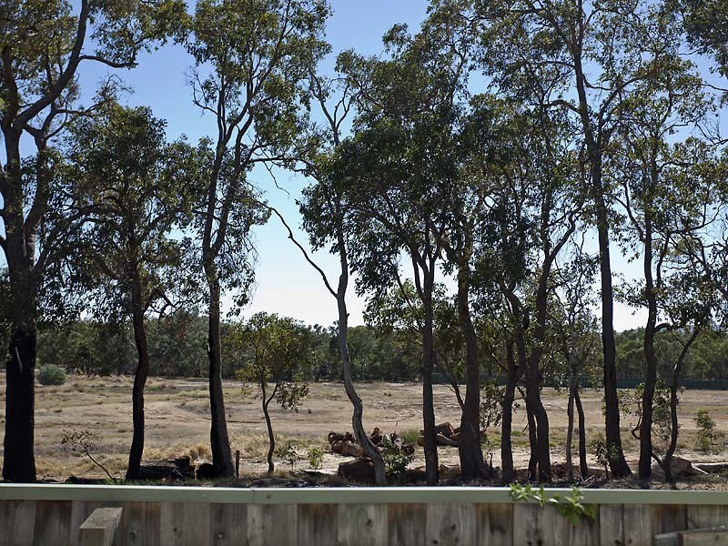 3 Bambra Mews, Stratton WA 6056