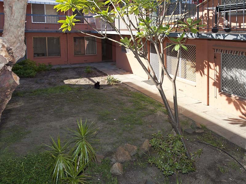 13/44 Seventh Avenue, Maylands WA 6051