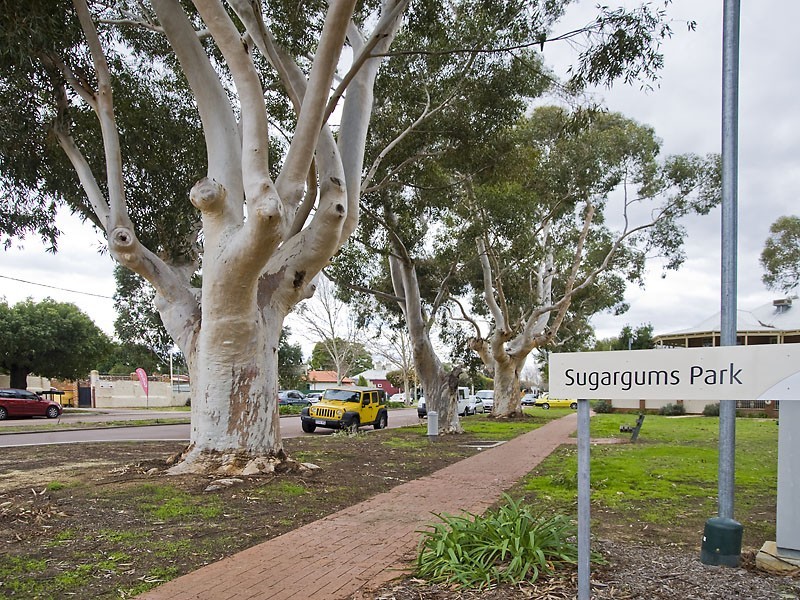 8 (Lot 210) Tauman Loop, Guildford WA 6055