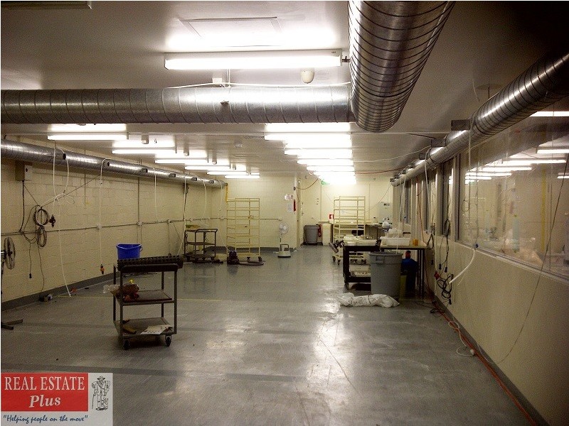 Suite 4,6 Brodie-Hall Dr, Bentley WA 6102