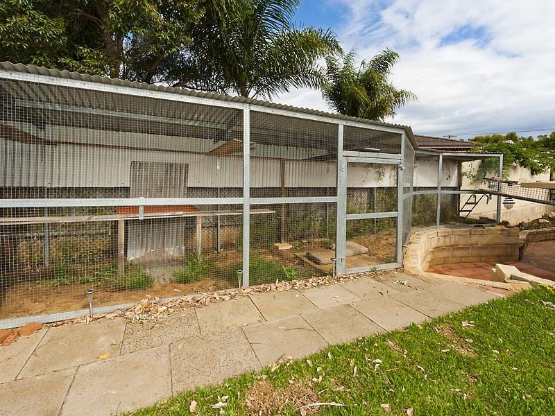 19 Wangalla Place, Koongamia WA 6056