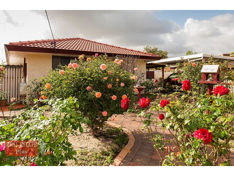 43 Tallerack Way, Forrestfield WA 6058