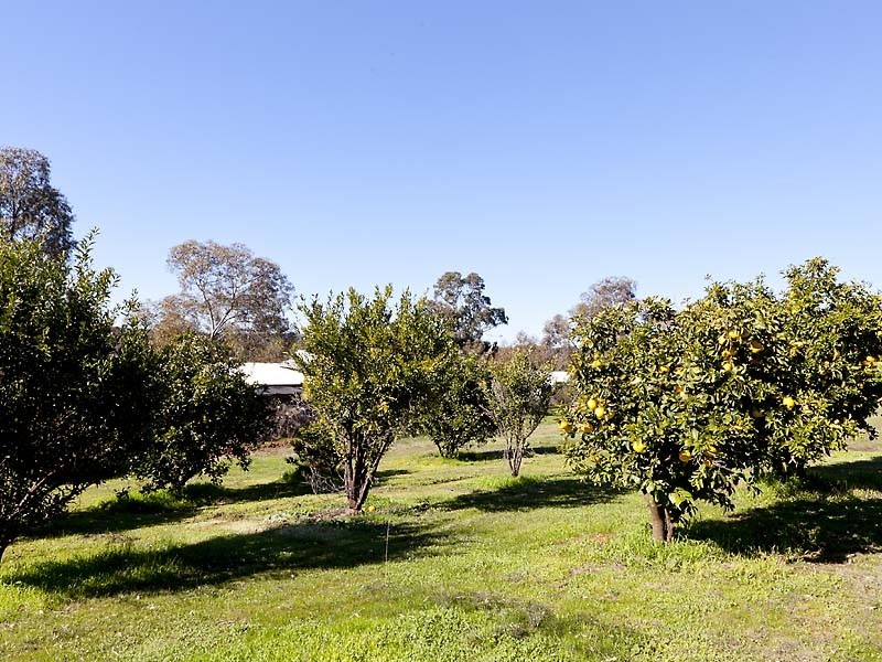 63 Spice Road, Bindoon WA 6502