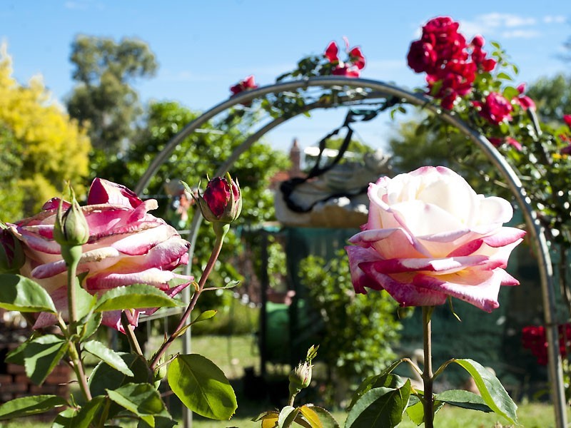 5 Drysdale Street, Eden Hill WA 6054