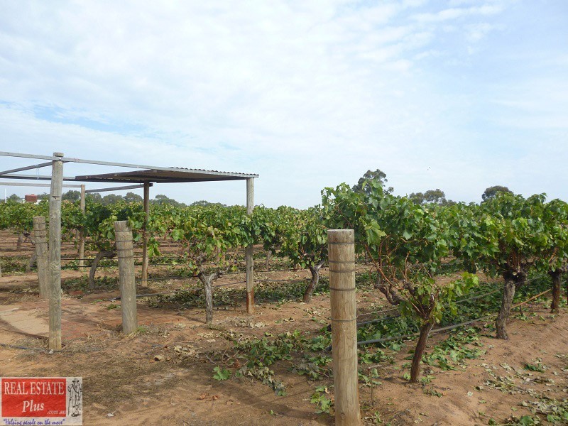 899 Great Northern Hway, Herne Hill WA 6056