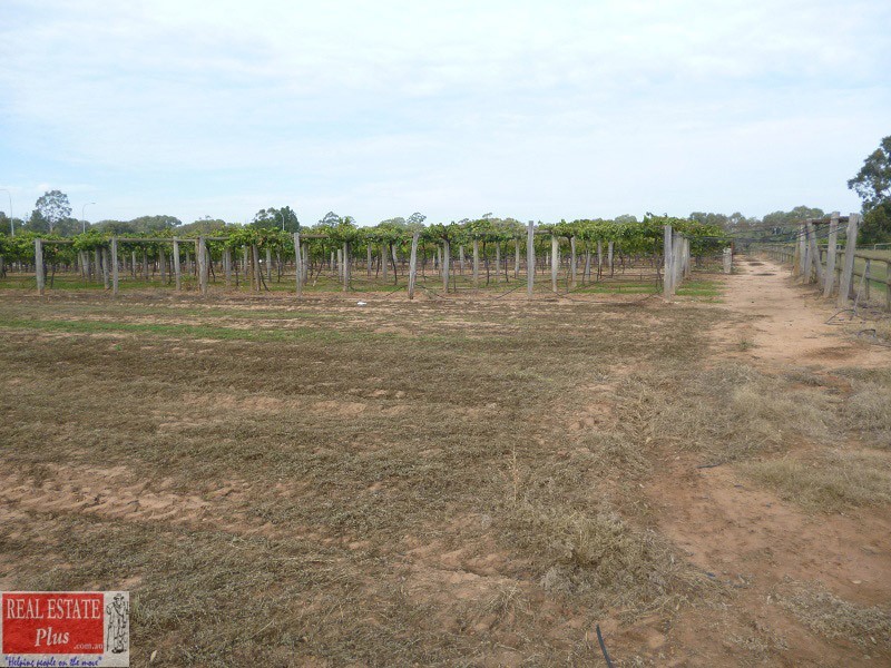 899 Great Northern Hway, Herne Hill WA 6056