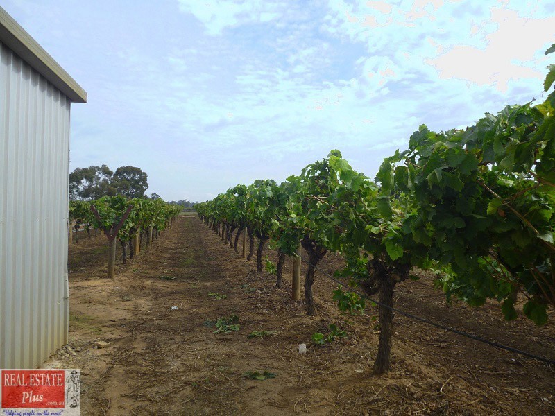 899 Great Northern Hway, Herne Hill WA 6056