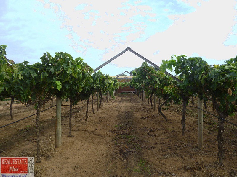 899 Great Northern Hway, Herne Hill WA 6056