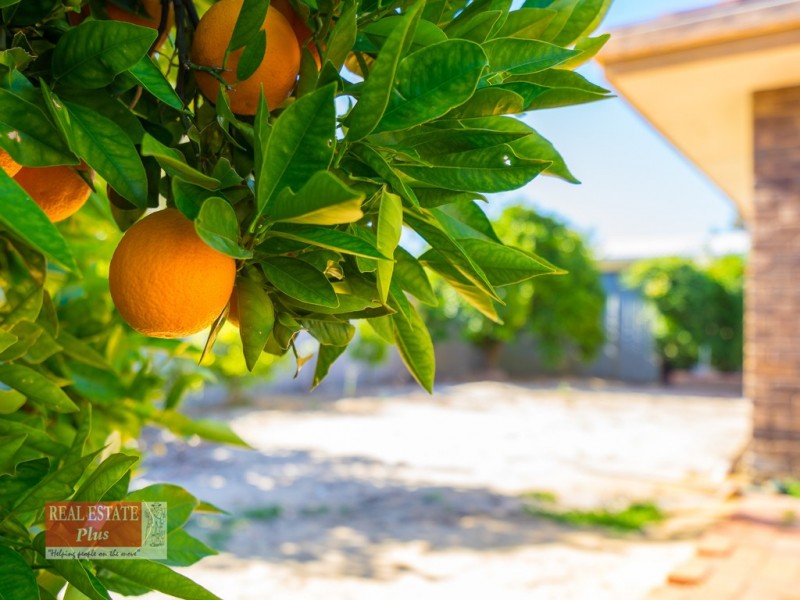 32 Abbott Way, Swan View WA 6056