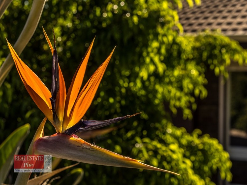 32 Abbott Way, Swan View WA 6056