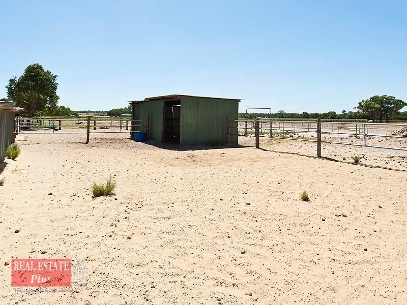 201 Stock Road, Herne Hill WA 6056