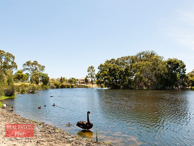 U37/175 Daly Street, Belmont WA 6104