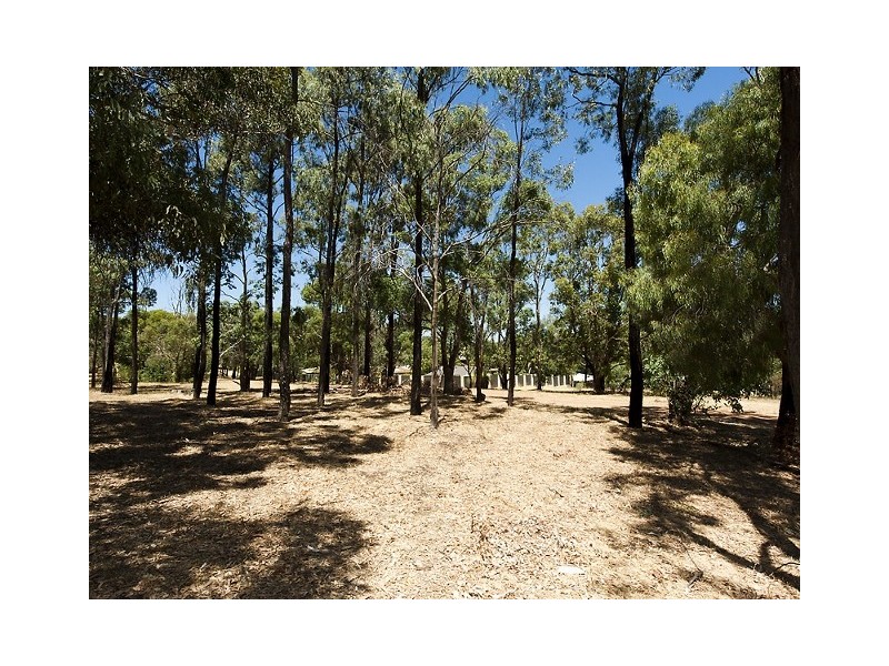 31 Coongan Avenue, Greenmount WA 6056