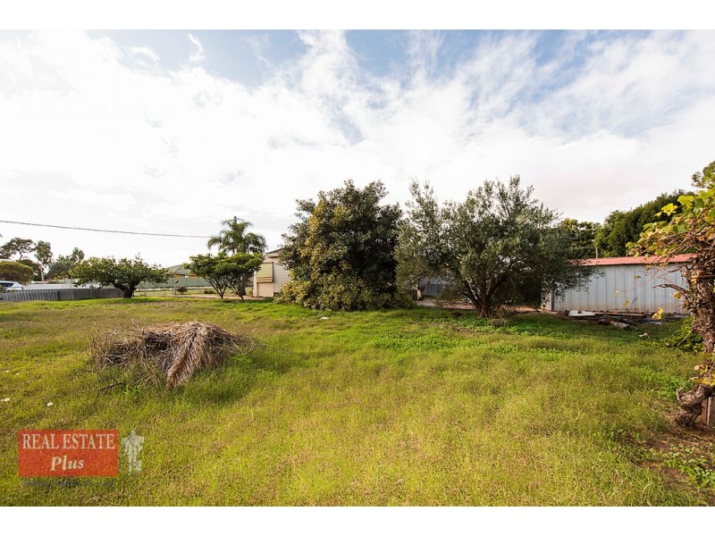 31 Albert Street, Bellevue WA 6056