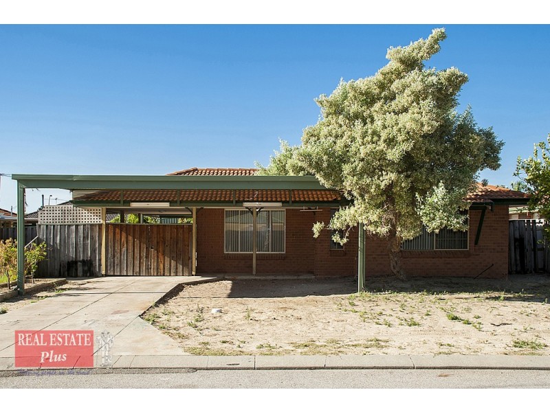16 Percheron Entrance, Stratton WA 6056