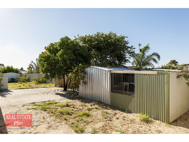 16 Percheron Entrance, Stratton WA 6056