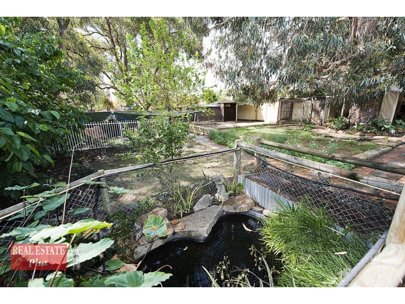 7 Gladstone Avenue, Swan View WA 6056