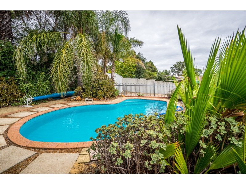 35 Tamarine Way, Swan View WA 6056