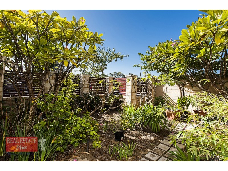 16 Mangosteen Drive, Forrestfield WA 6058