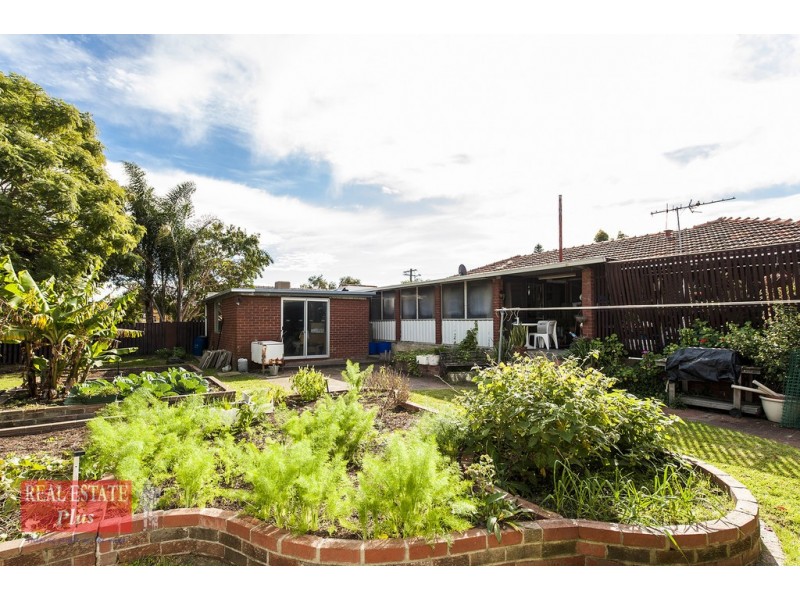 69 Allamanda Way, Forrestfield WA 6058