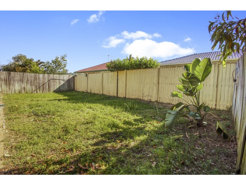 81 Alexandrina Circuit, Forest Lake QLD 4078