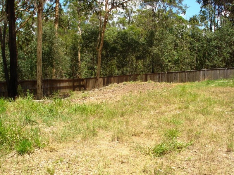 81 Gibbston Place, Doolandella QLD 4077