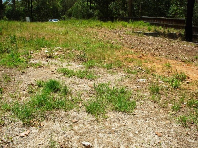 81 Gibbston Place, Doolandella QLD 4077